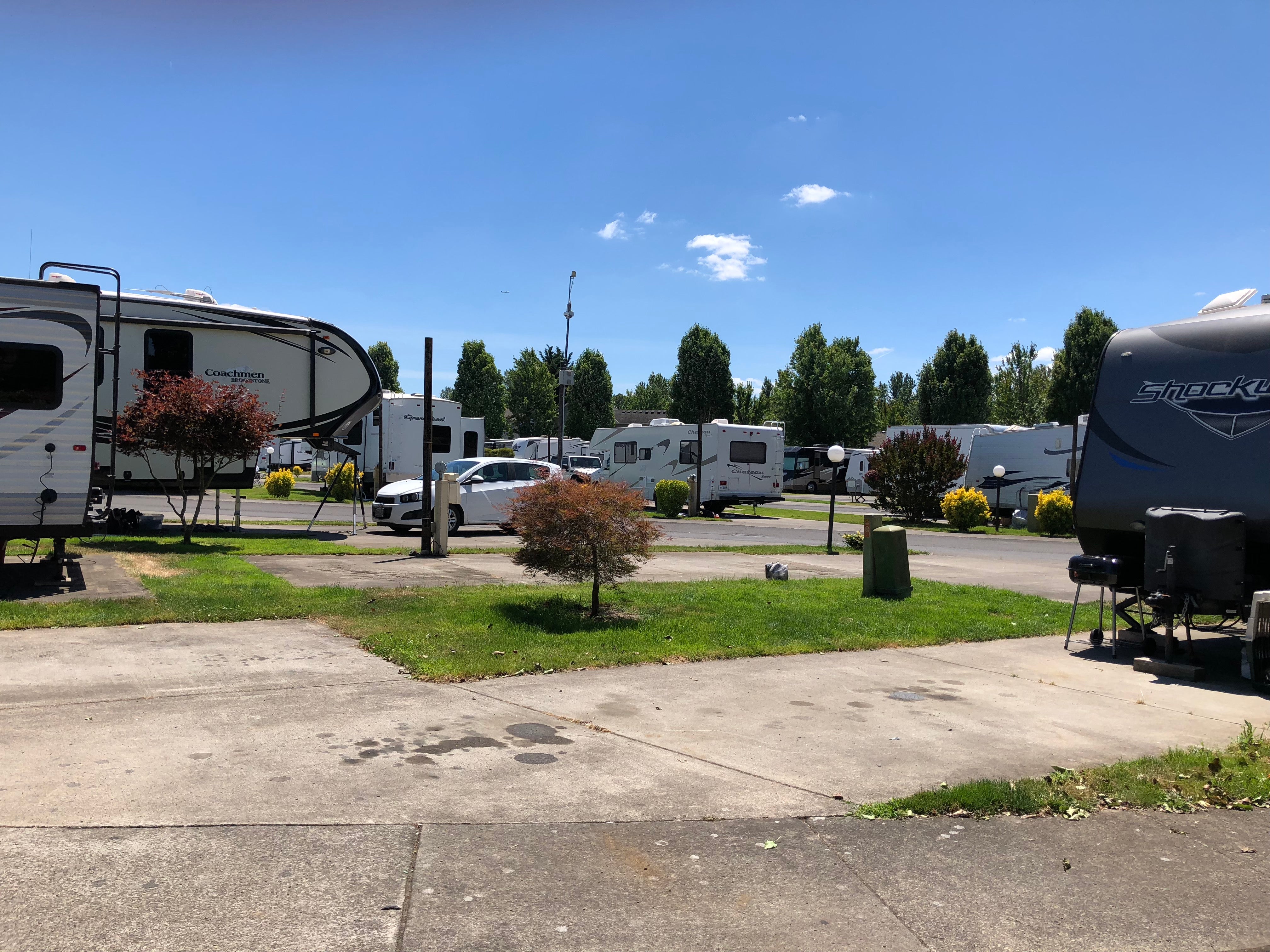 Camper submitted image from Columbia River RV Park - 3
