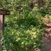 Review photo of Superior Forest Blackstone Lake Backpack Campsite by Janet R., September 29, 2021