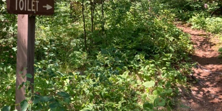 Camper submitted image from Superior Forest Blackstone Lake Backpack Campsite