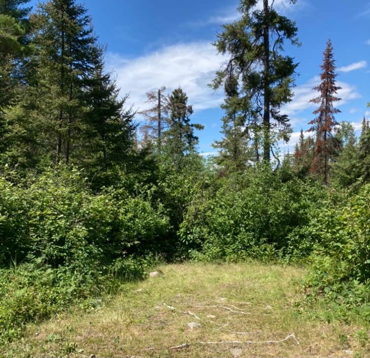 Camper-submitted photo at Superior Forest Blackstone Lake Backpack Campsite near Superior National Forest