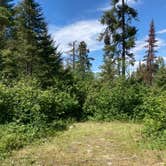 Review photo of Superior Forest Blackstone Lake Backpack Campsite by Janet R., September 29, 2021