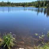 Review photo of Superior Forest Blackstone Lake Backpack Campsite by Janet R., September 29, 2021