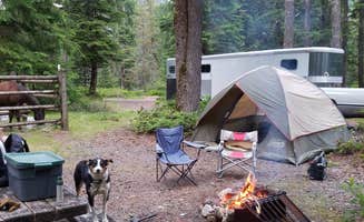 Kelcie T.'s photo of camping with pets at Kalama Horse Camp — Gifford Pinchot National Forest near Cougar, WA