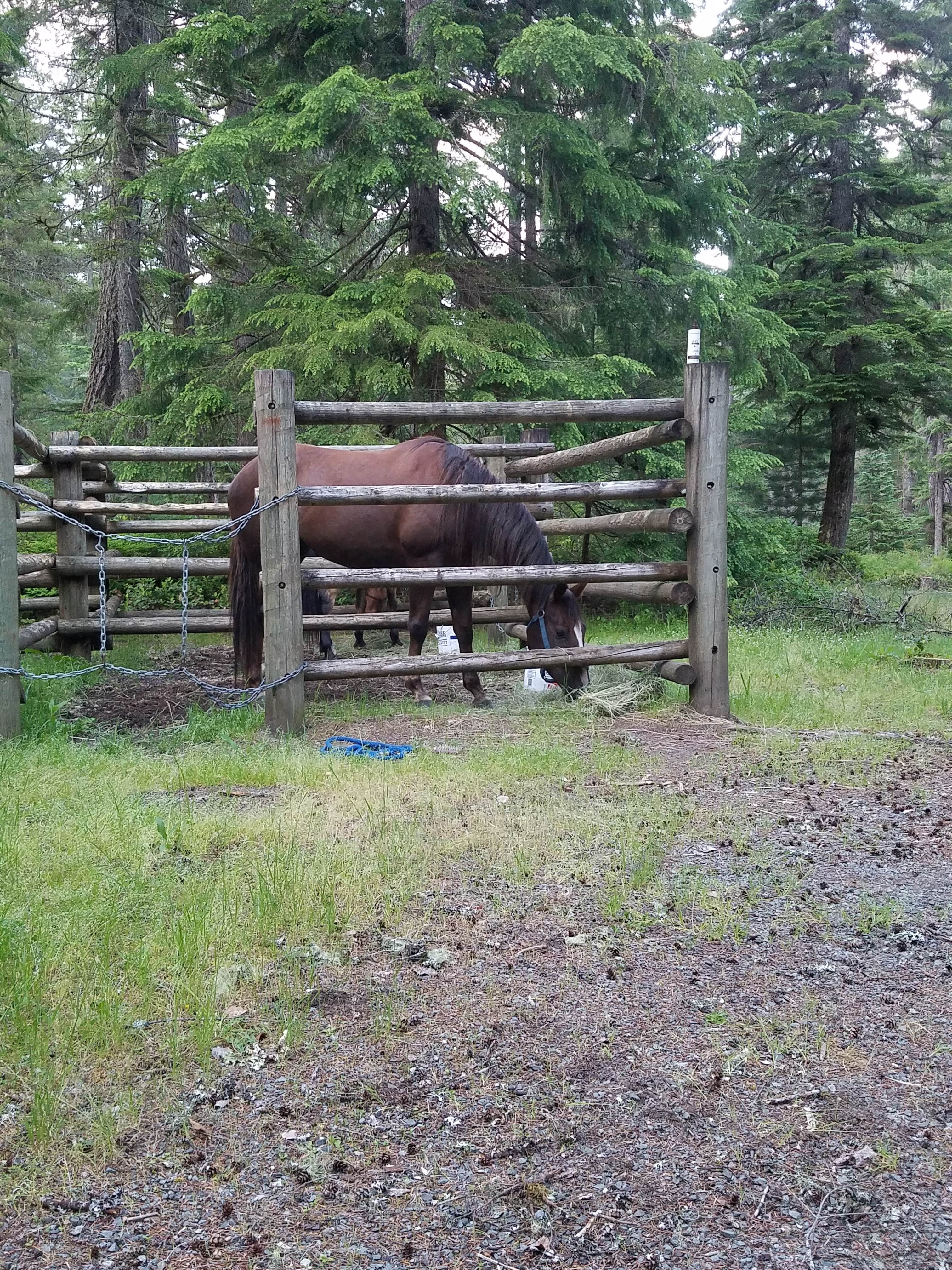 Kalama hotsell horse camp