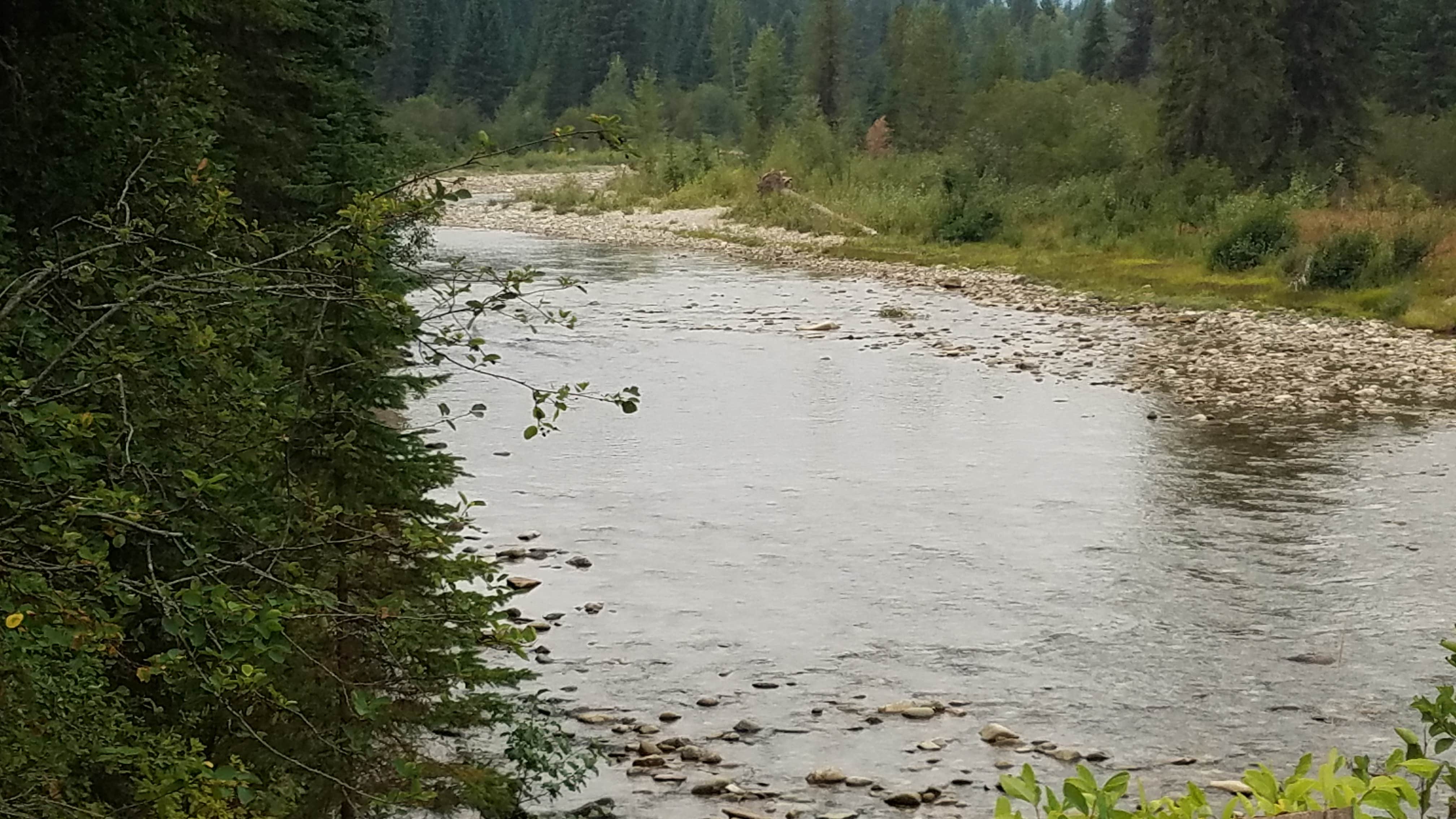 Camper submitted image from North Fork of the Clearwater Corridor - 3