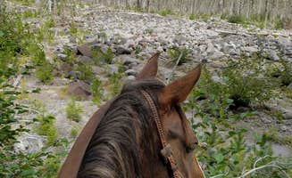 Kelcie T.'s photo of camping with a horse at Kalama Horse Camp Campground near Camas, WA