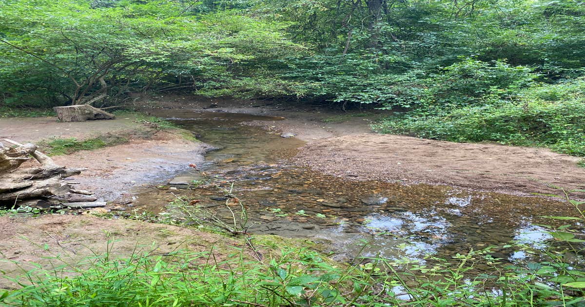 Chadds Ford photo 5