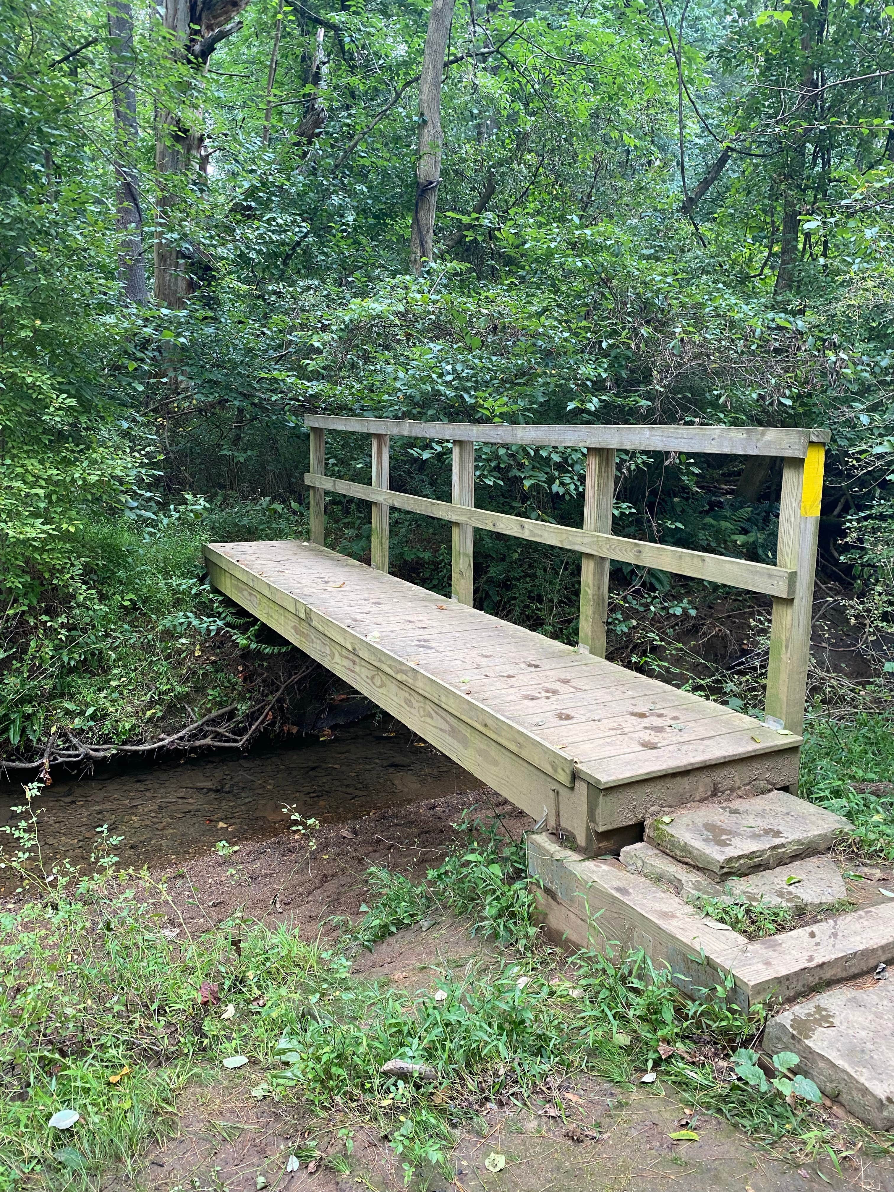 Camper-submitted photo at Group Camp — Ridley Creek State Park near Hockessin, DE