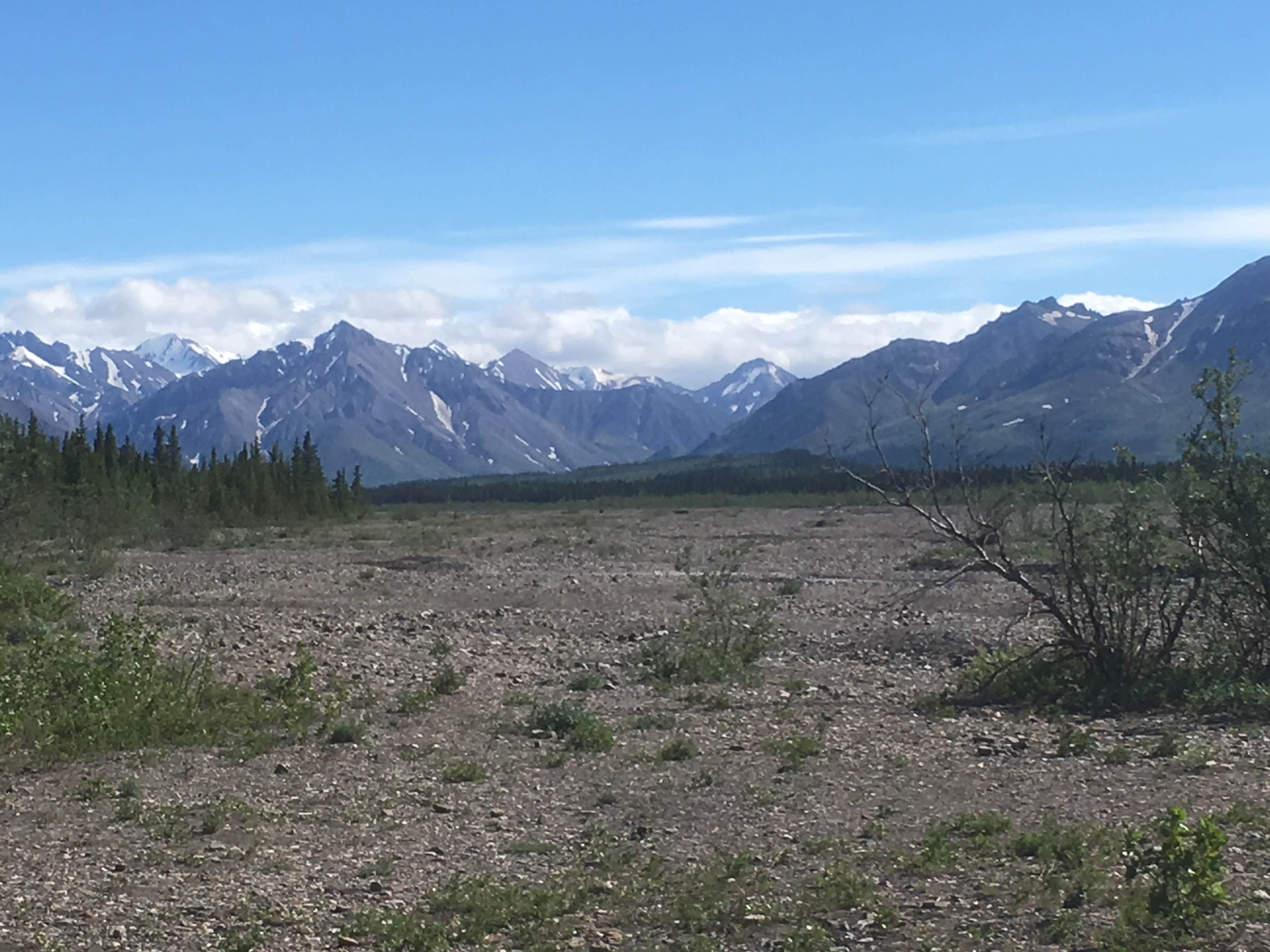 Camper submitted image from Teklanika River Campground — Denali National Park - 2