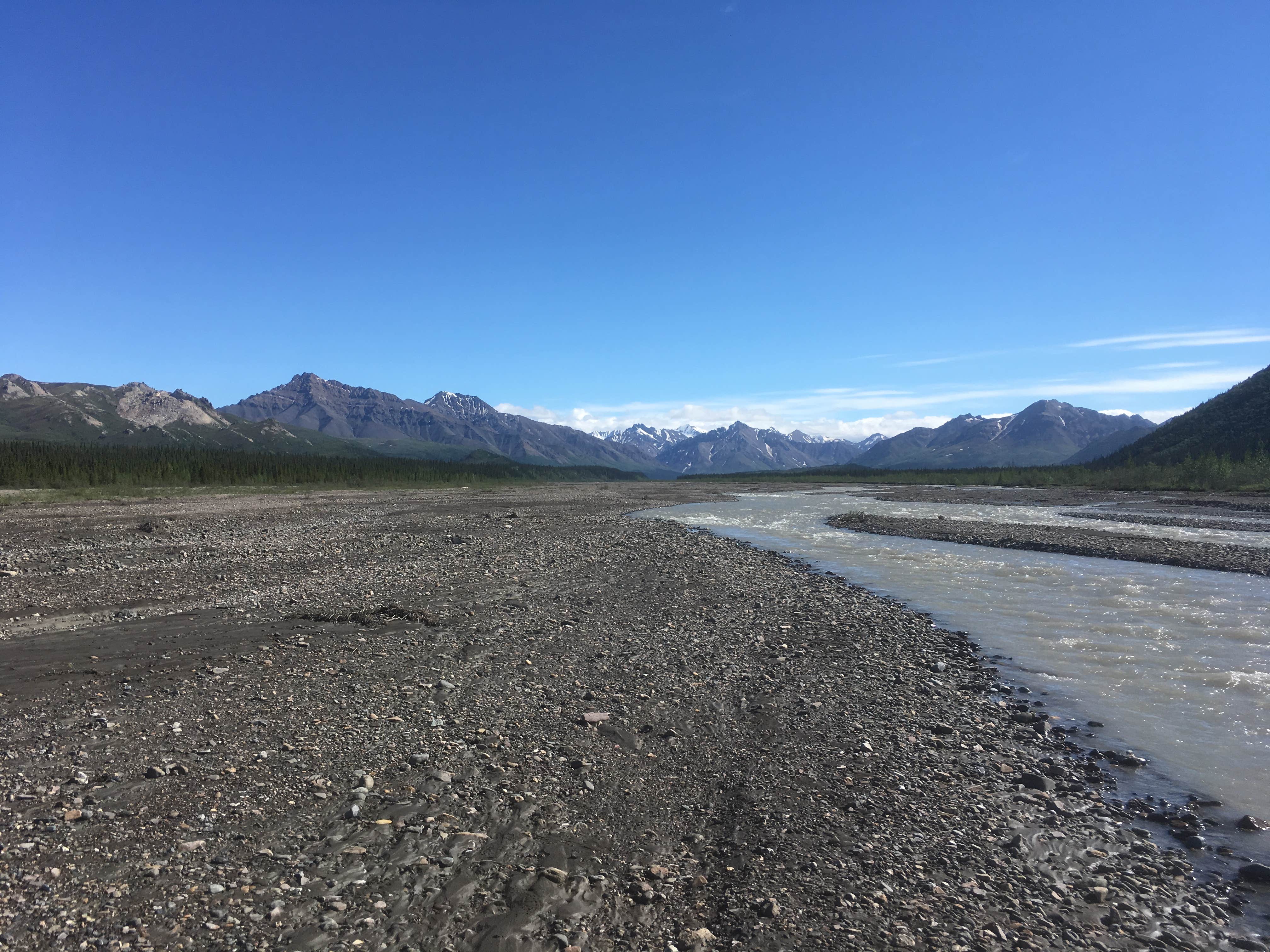 Camper submitted image from Teklanika River Campground — Denali National Park - 3