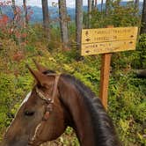 Review photo of Rock Creek Campground — Okanogan Wenatchee National Forest by Kelcie T., September 29, 2021