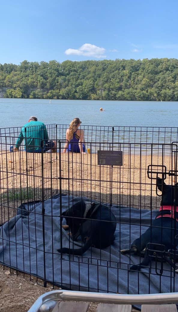 Shannon G.'s photo of camping with pets at Lake of the Ozarks State Park Campground near Richland, MO
