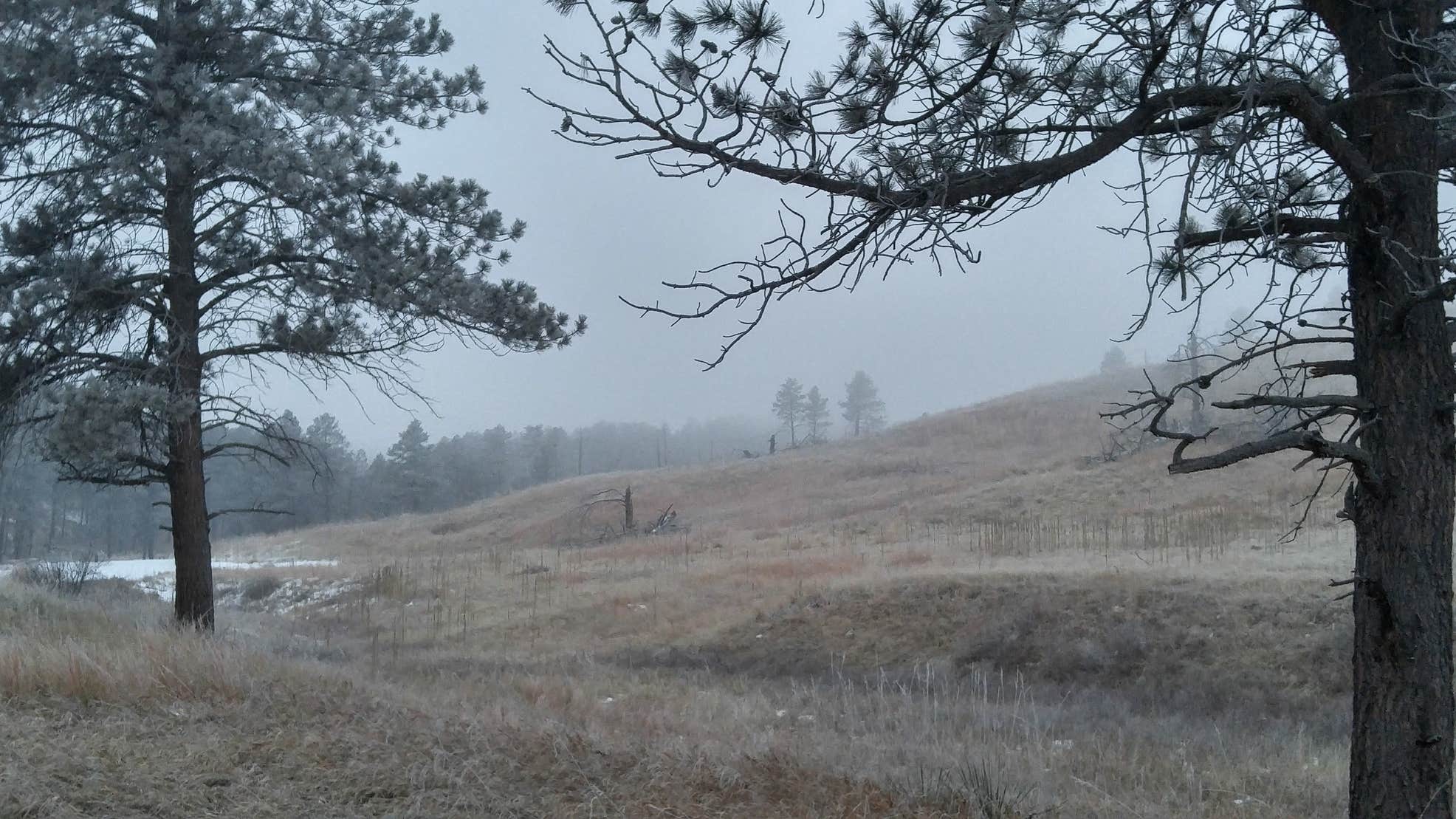 Elk Mountain Campground Camping The Dyrt