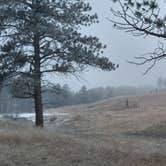 Review photo of Elk Mountain Campground — Wind Cave National Park by Kari T., July 22, 2016