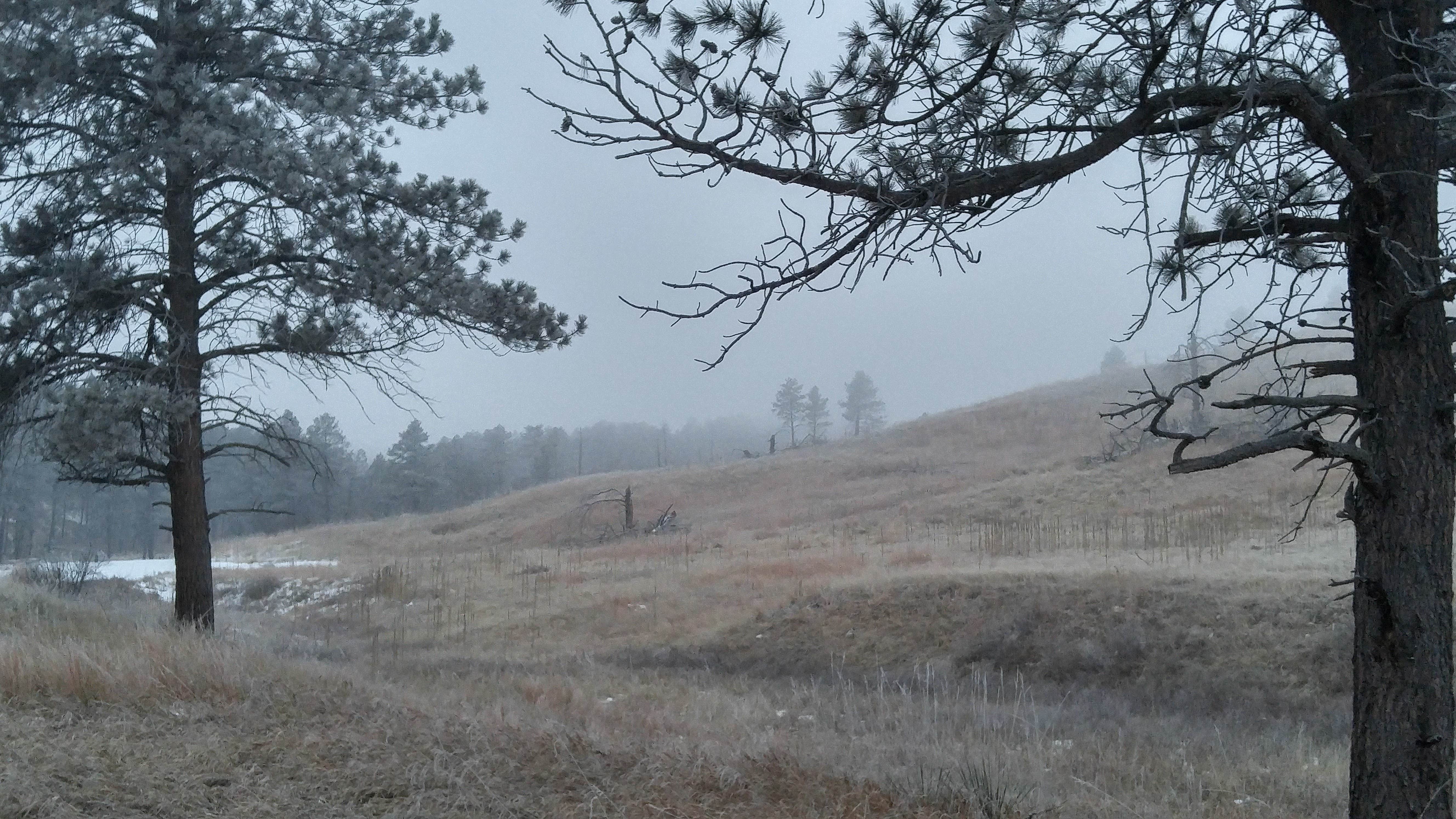Camper submitted image from Elk Mountain Campground — Wind Cave National Park - 2