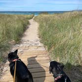 Review photo of D.H. Day Campground — Sleeping Bear Dunes National Lakeshore by Lynn R., September 29, 2021