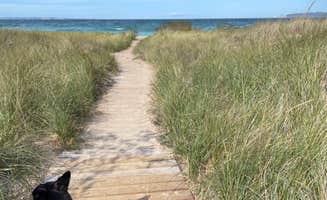Lynn R.'s photo of camping with pets at D.H. Day Campground — Sleeping Bear Dunes National Lakeshore near Frankfort, MI