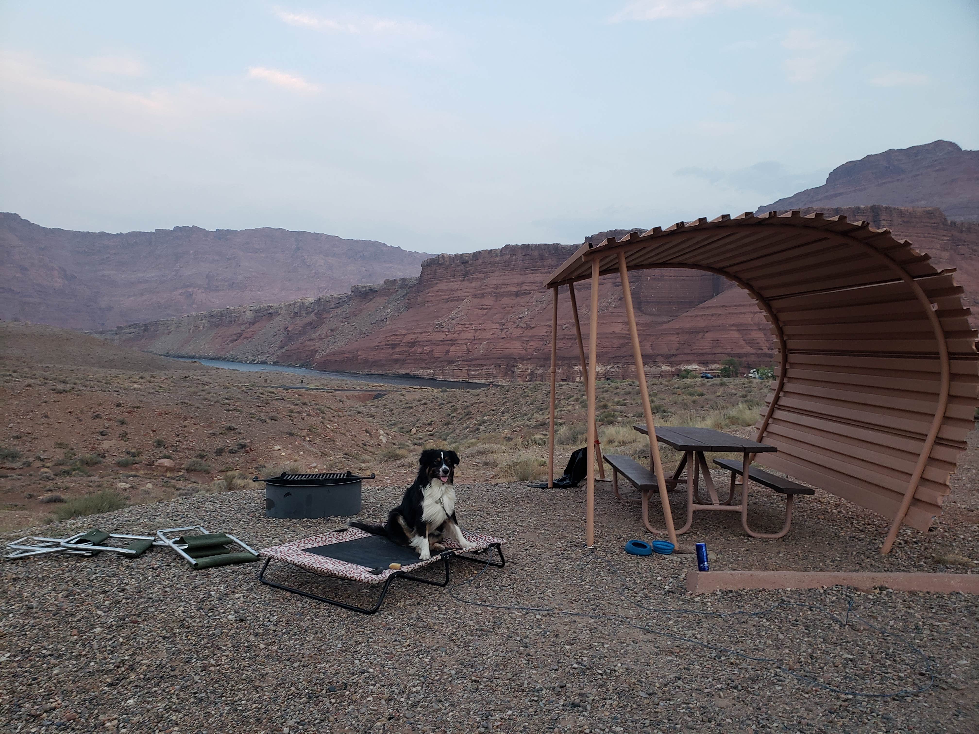 taylor's photo of camping with pets at Lees Ferry Campground — Glen Canyon National Recreation Area near Lake Powell, UT