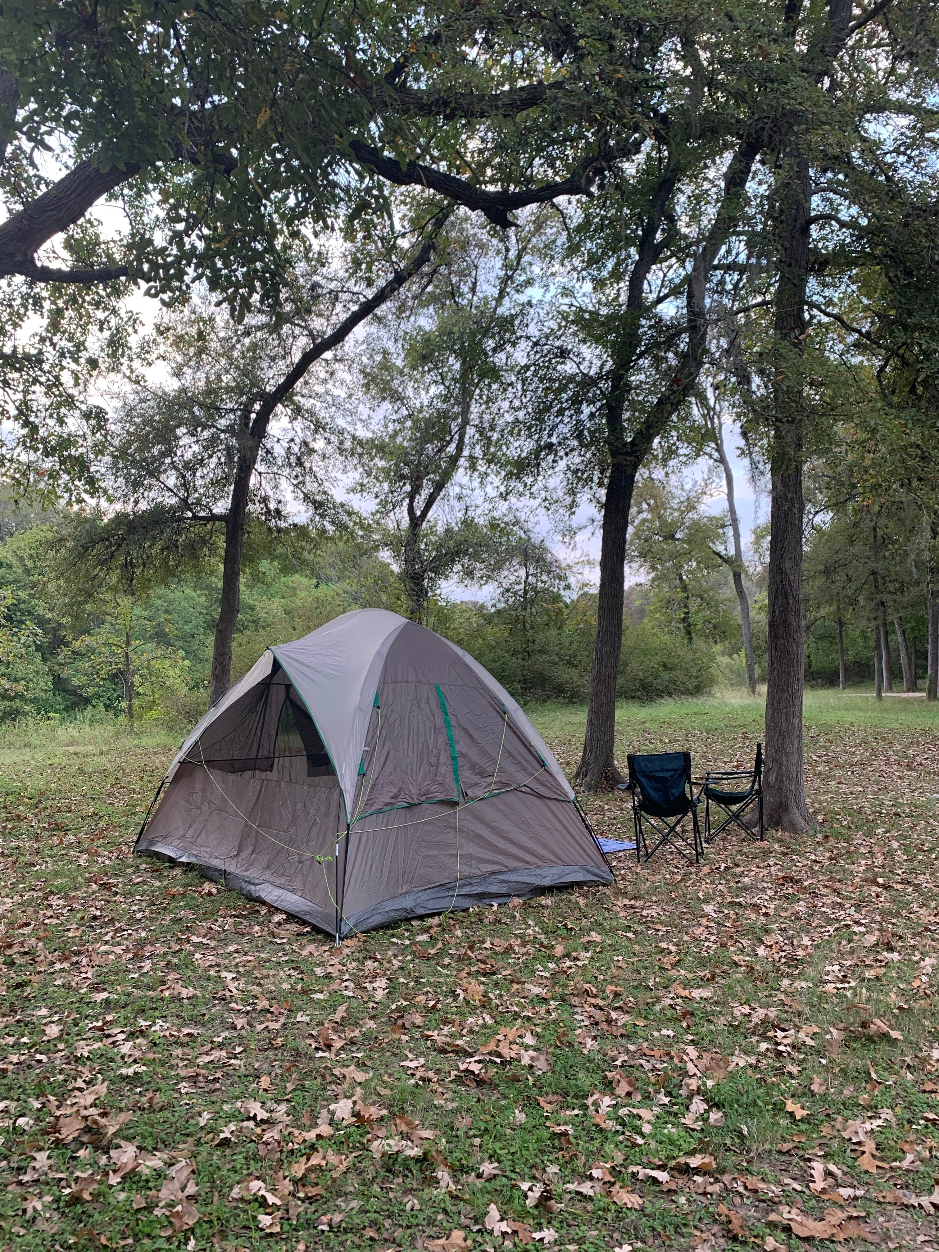 iliana S.'s photo at Palmetto State Park Campground near Lockhart, TX