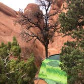 Review photo of Devils Garden Campground — Arches National Park by Jessica G., September 29, 2021