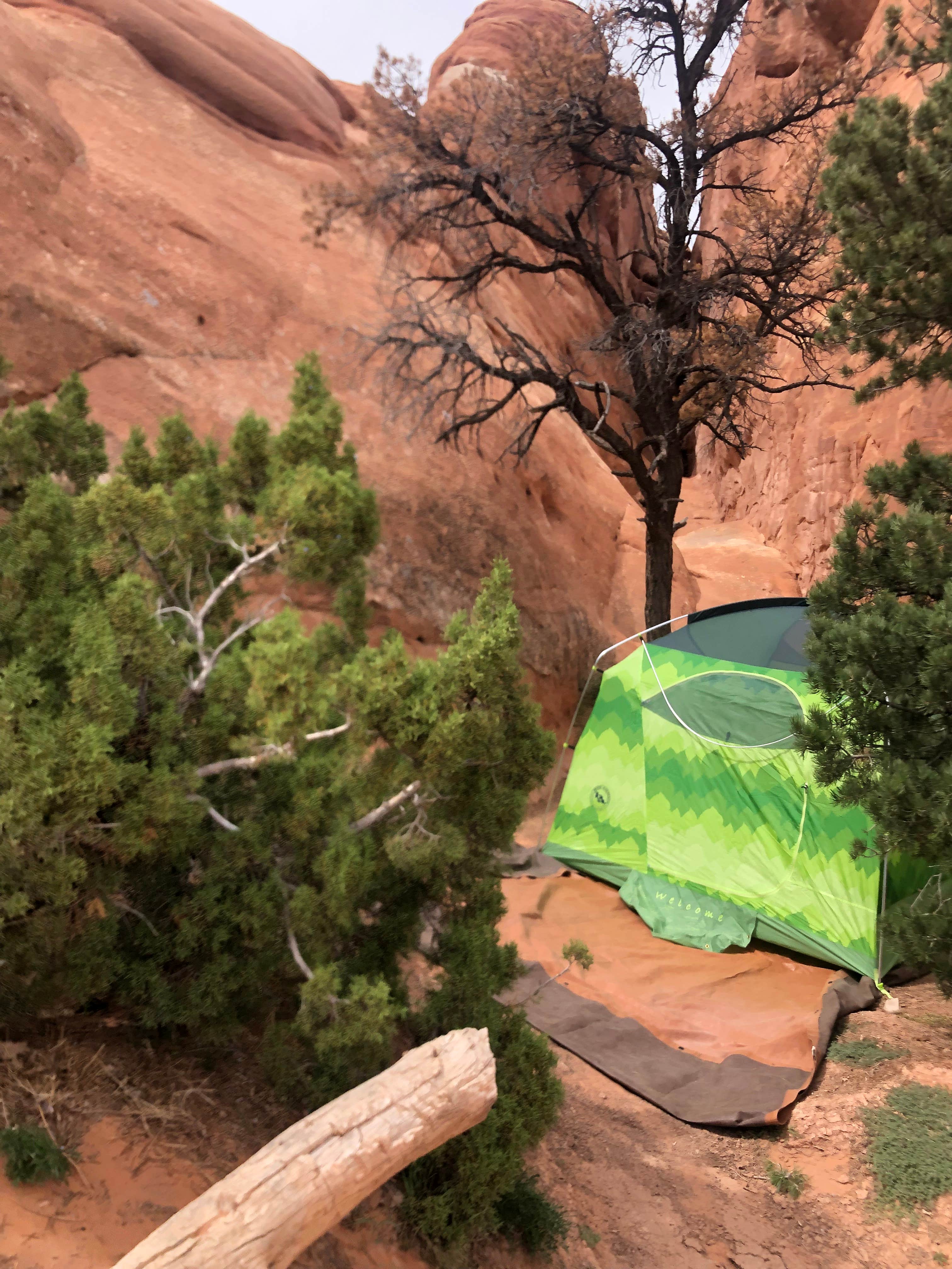 Jessica G.'s photo at Devils Garden Campground — Arches National Park near Thompson, UT