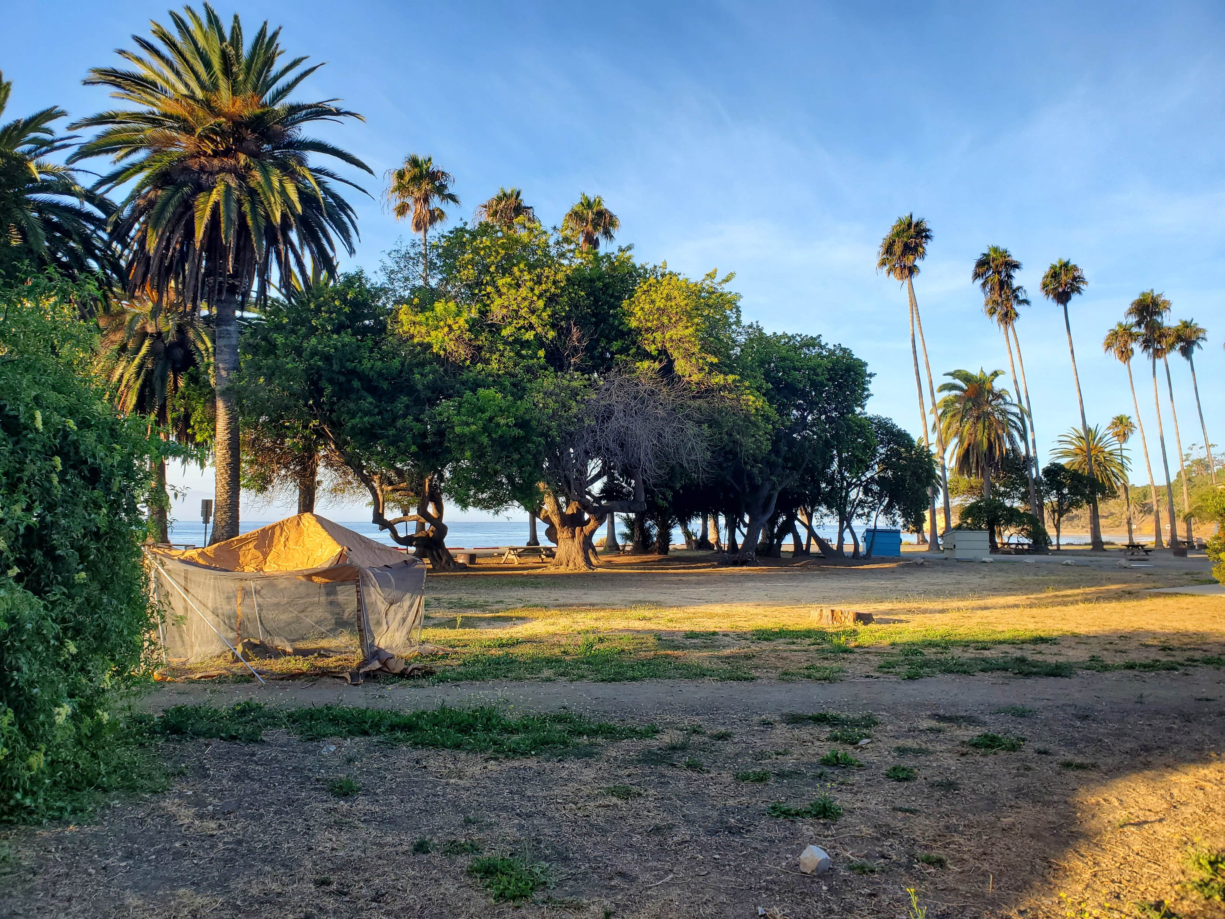 Samantha A.'s photo at Refugio State Beach Campground near Santa Ynez, CA