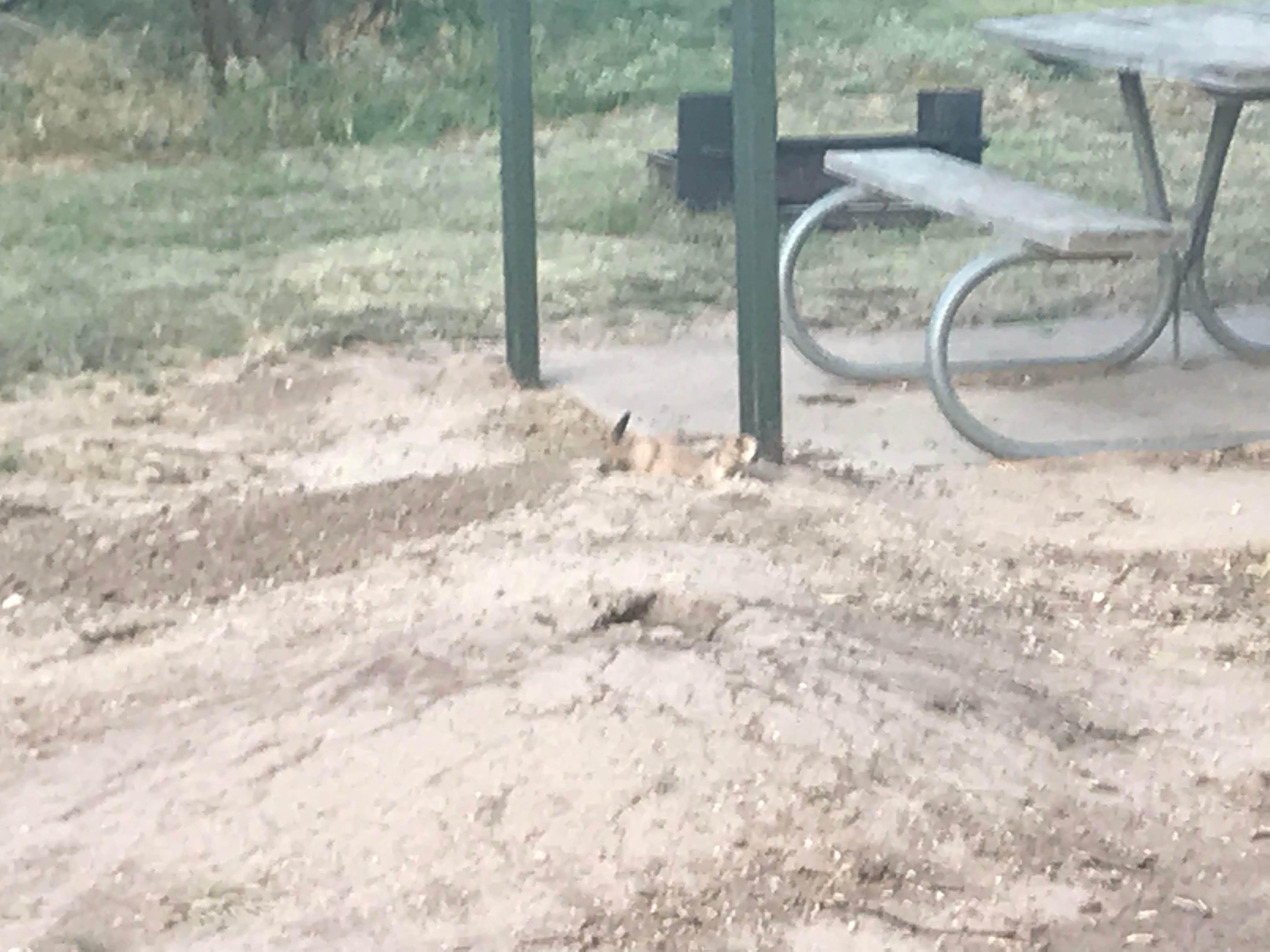 Camper-submitted photo at Lake Arrowhead State Park Campground near Burkburnett, TX