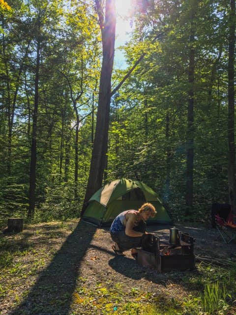 Camper submitted image from Fowlers Hollow State Park - 4