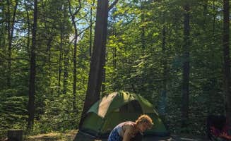 Casey L.'s photo at Fowlers Hollow State Park Campground near Blain, PA