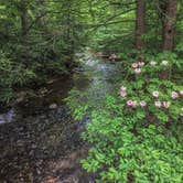 Review photo of Fowlers Hollow State Park by Casey L., September 29, 2021