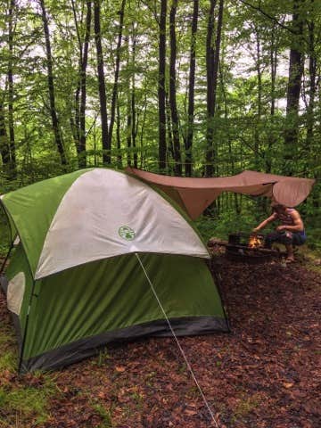 Casey L.'s photo at Primitive Camping Area — Bald Eagle State Park near State College, PA