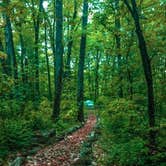 Review photo of Primitive Camping Area — Bald Eagle State Park by Casey L., September 29, 2021