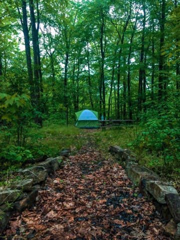 Casey L.'s photo at Primitive Camping Area — Bald Eagle State Park near Coburn, PA