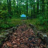 Review photo of Primitive Camping Area — Bald Eagle State Park by Casey L., September 29, 2021