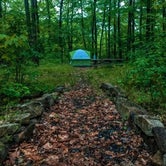 Review photo of Primitive Camping Area — Bald Eagle State Park by Casey L., September 29, 2021