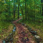 Review photo of Primitive Camping Area — Bald Eagle State Park by Casey L., September 29, 2021