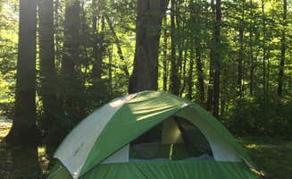 Casey L.'s photo at Jamestown Campground — Pymatuning State Park near Linesville, PA