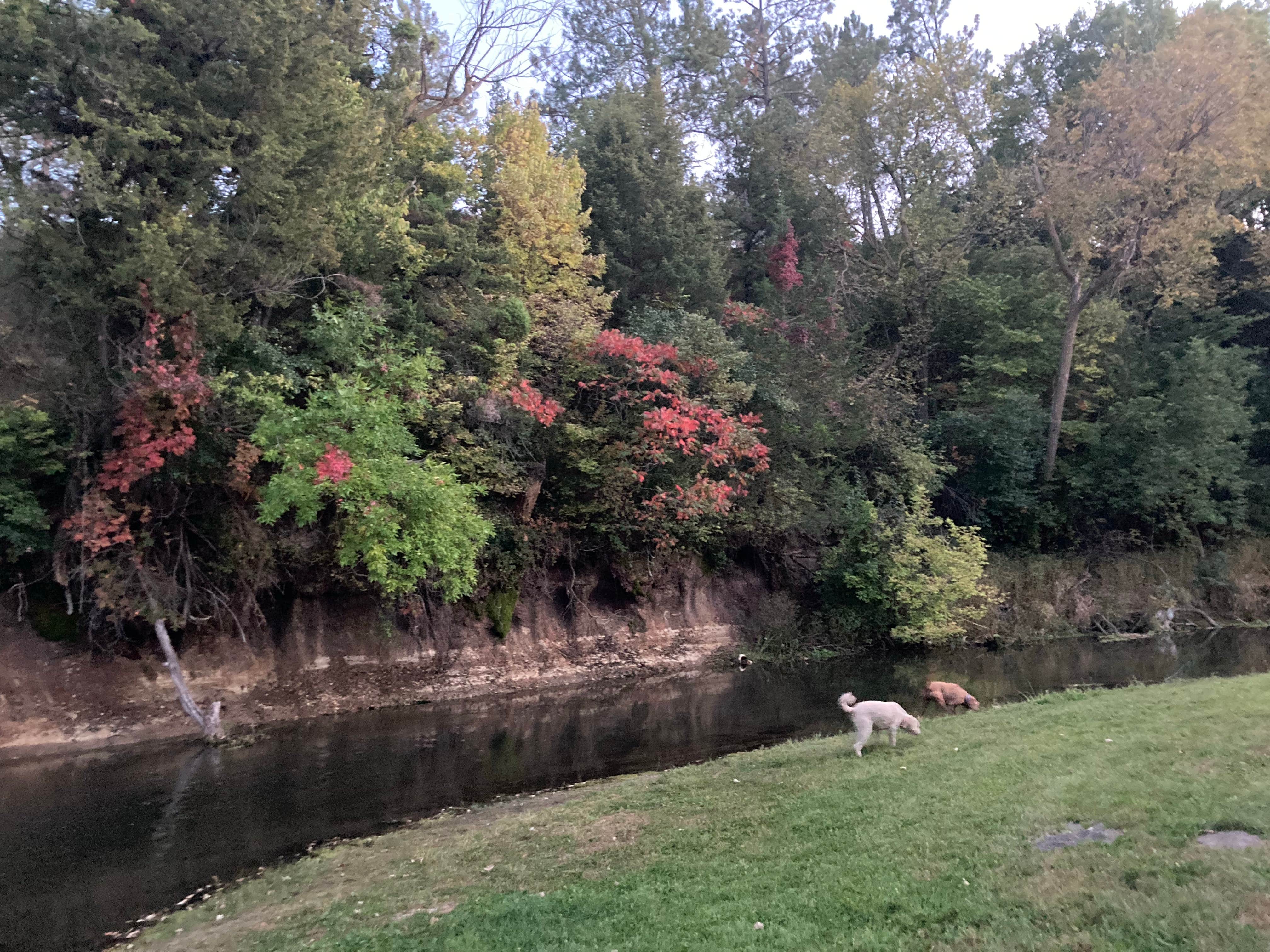 Virginia  M.'s photo of camping with pets at Valentine City Park near Long Pine, NE