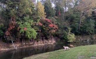Virginia  M.'s photo of camping with pets at Valentine City Park in Nebraska
