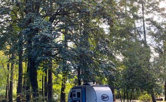 Chelsea B.'s photo at Belfair State Park Campground near Lakebay, WA