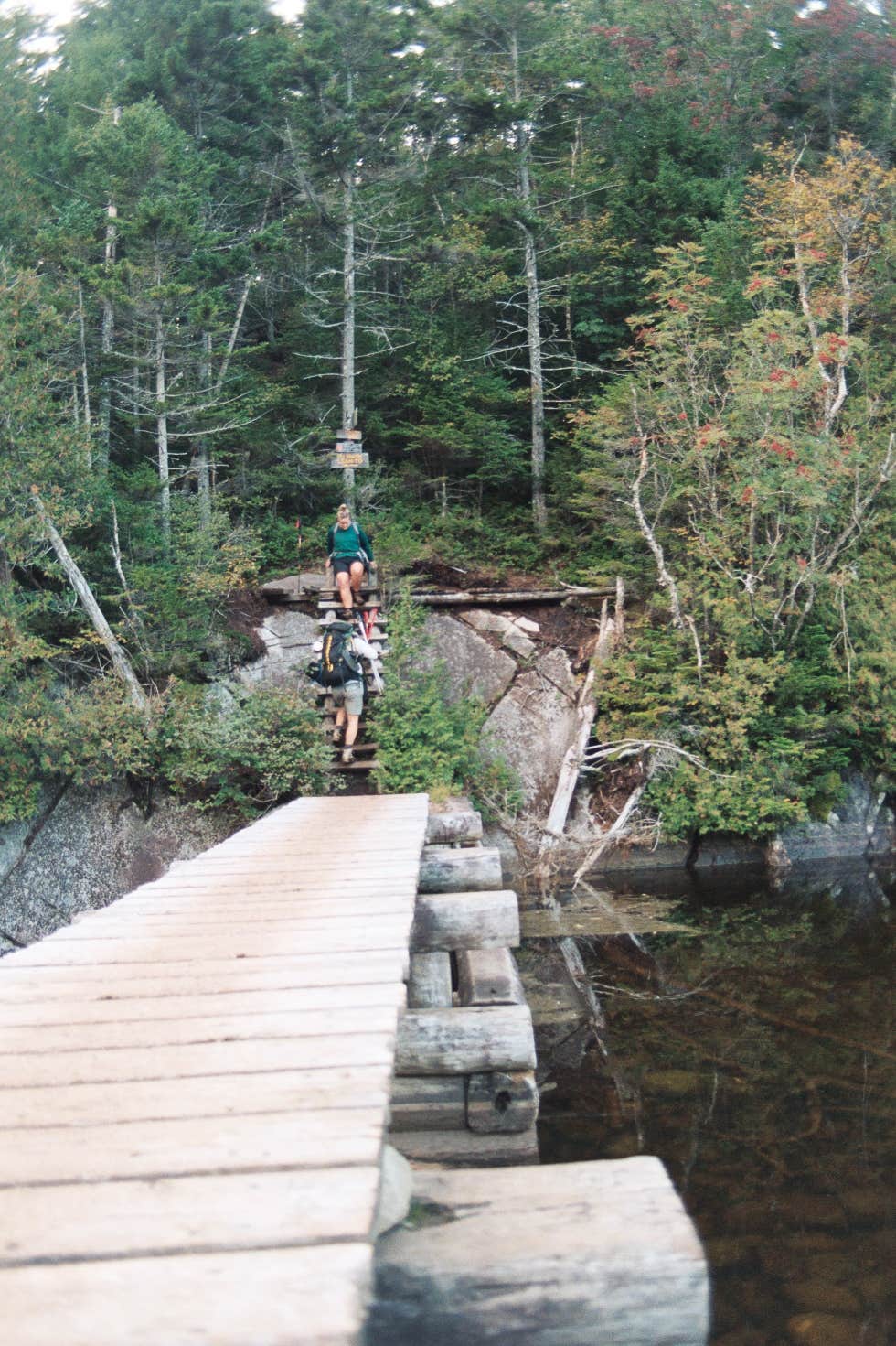 Camper submitted image from Lake Colden - 4