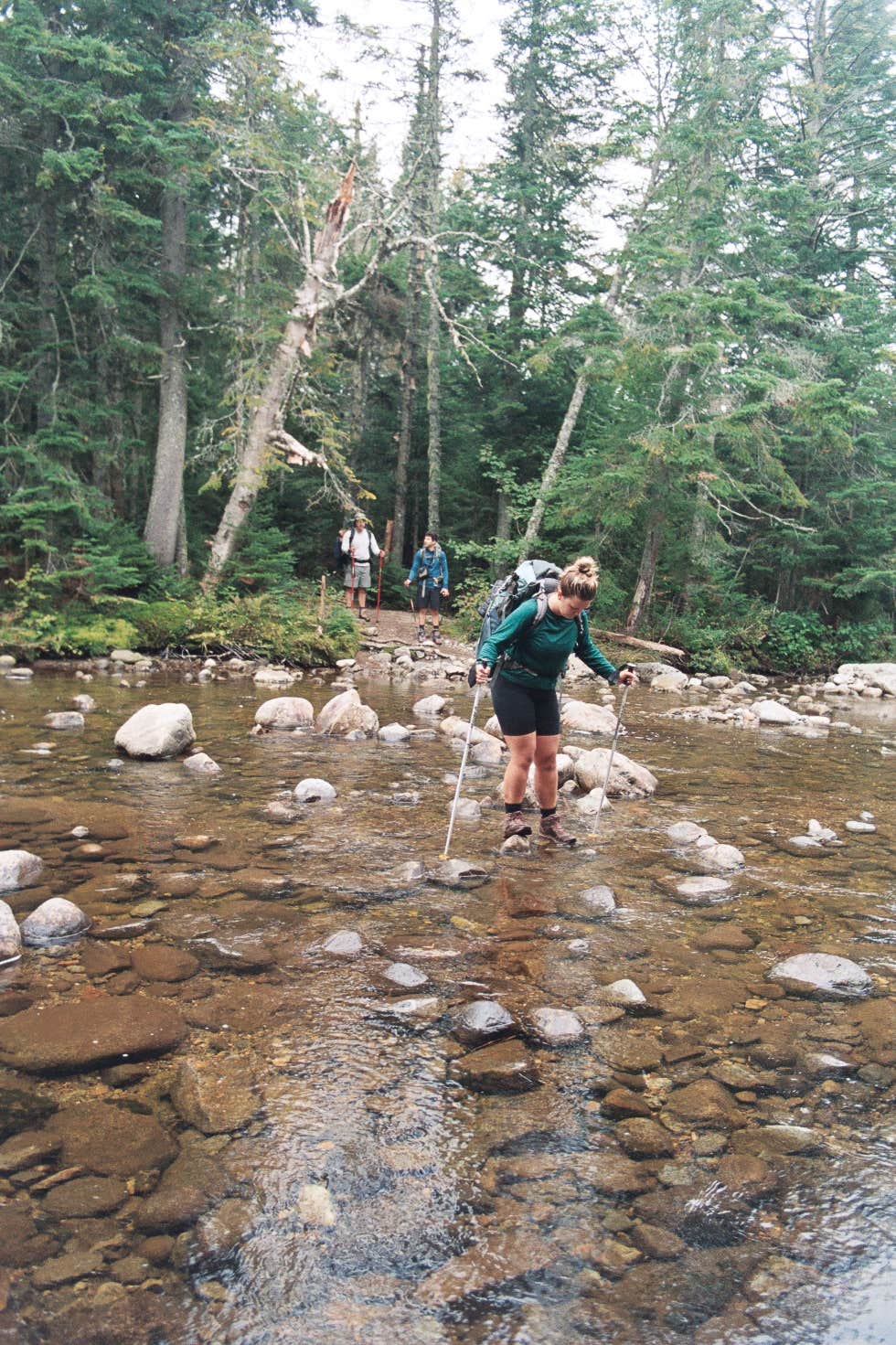 Camper submitted image from Lake Colden - 5