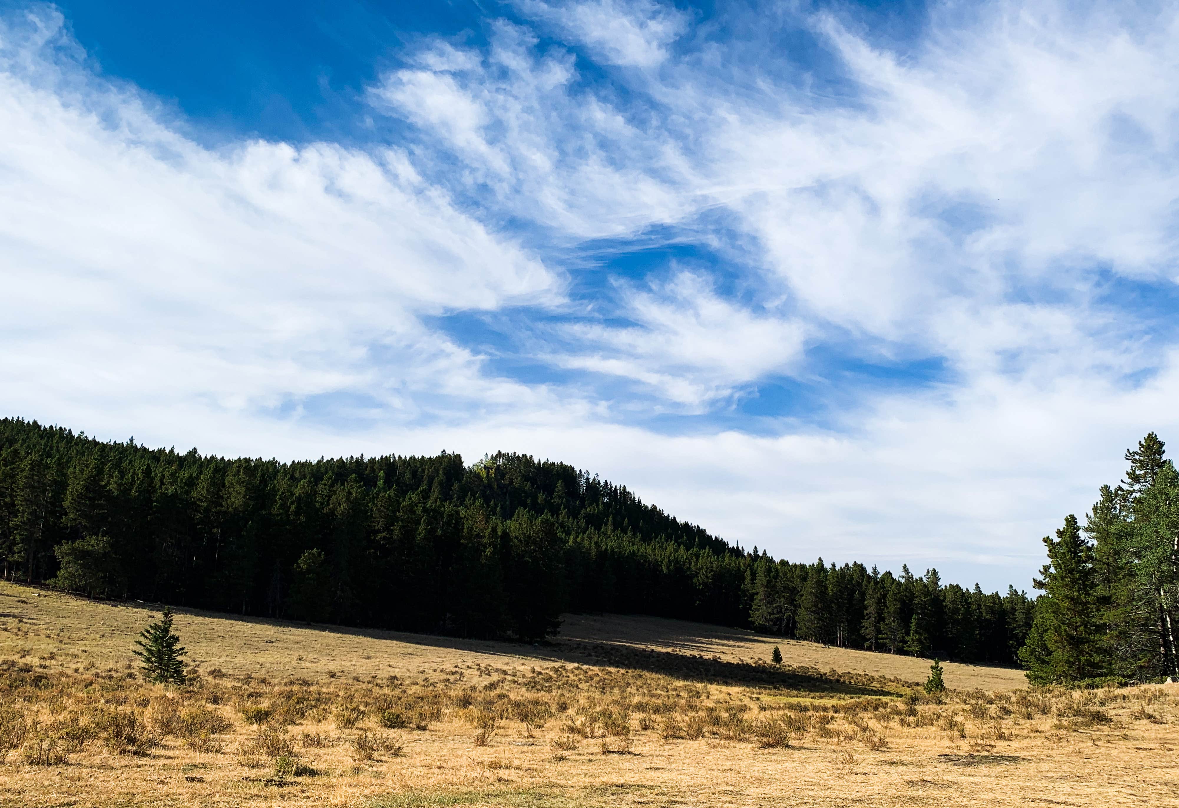 Camper-submitted photo at Elgin Park Trailhead near Bighorn Canyon National Recreation Area