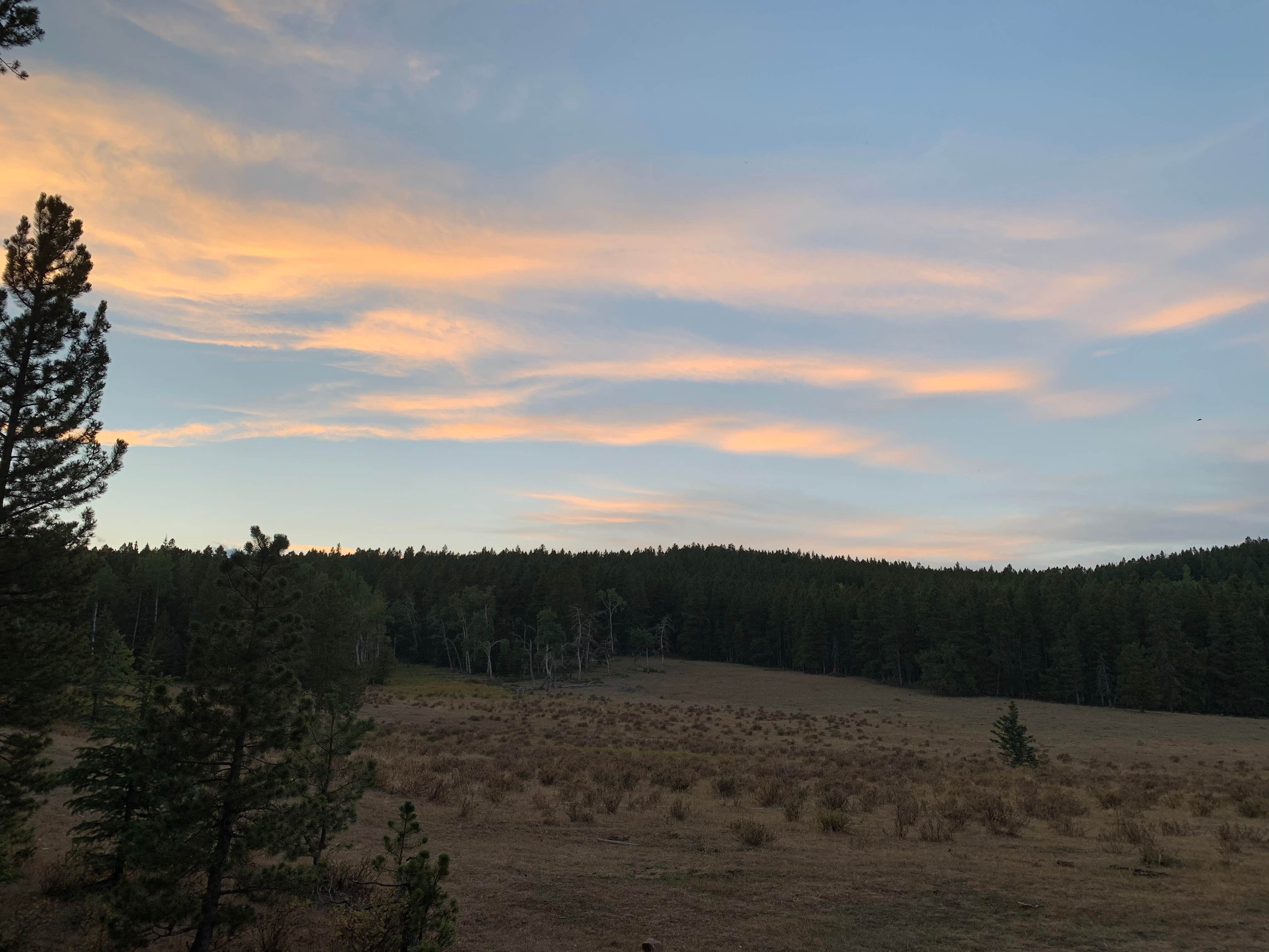 Camper submitted image from Elgin Park Trailhead - 2