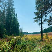 Review photo of Elgin Park Trailhead by Kristen + Billy P., September 29, 2021