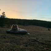 Review photo of Elgin Park Trailhead by Kristen + Billy P., September 29, 2021