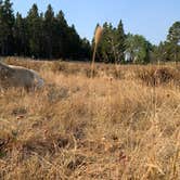 Review photo of Elgin Park Trailhead by Kristen + Billy P., September 29, 2021