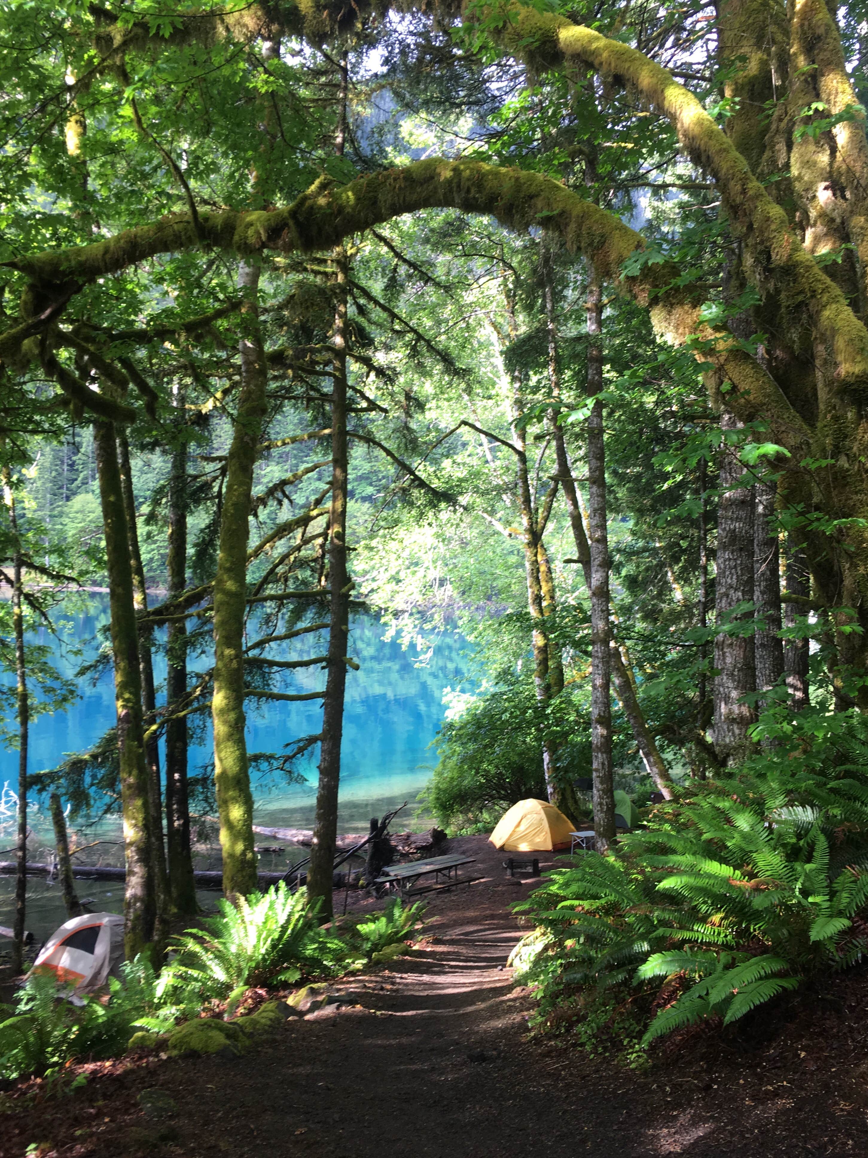 Camper submitted image from Fairholme Campground — Olympic National Park - 3