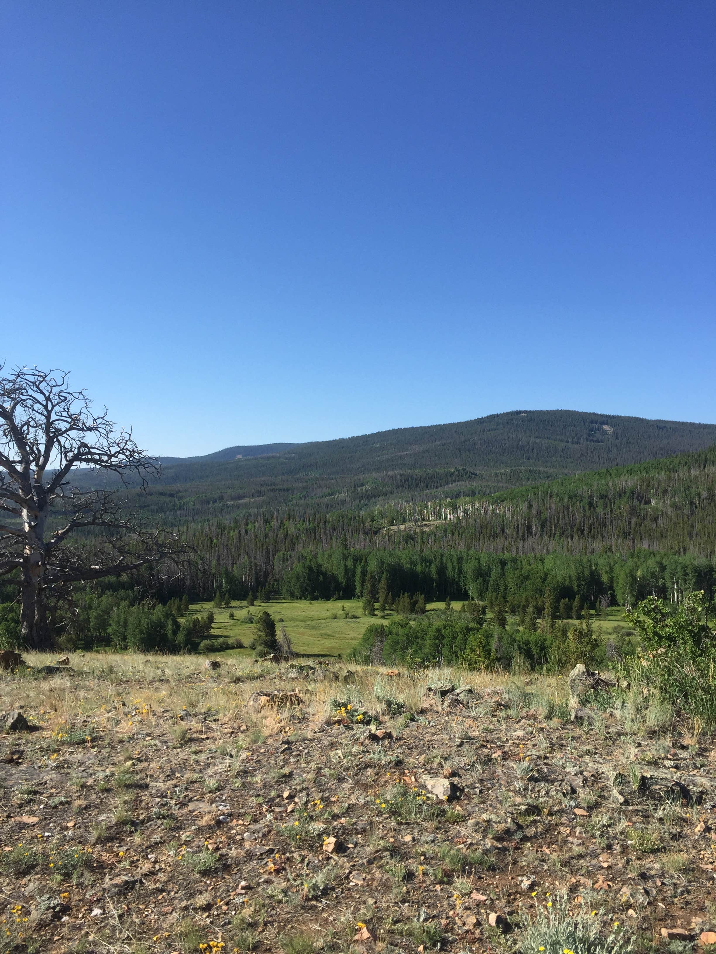 Camping near Sanger Public Access Area on North Platte River: Medicine Bow, Encampment, Wyoming