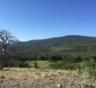 Camper-submitted photo from Medicine Bow 